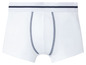 Weiße Boxershorts mit einem dunkelblauen Band.
