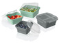 Quadratische Lunchboxen mit Deckel in Grau und Grün, mit verschiedenen Obstsorten.
