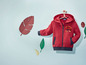 Rote Kinderjacke mit Kapuze und Reißverschluss, mit 'Stay Curious Wild One' Aufdruck.