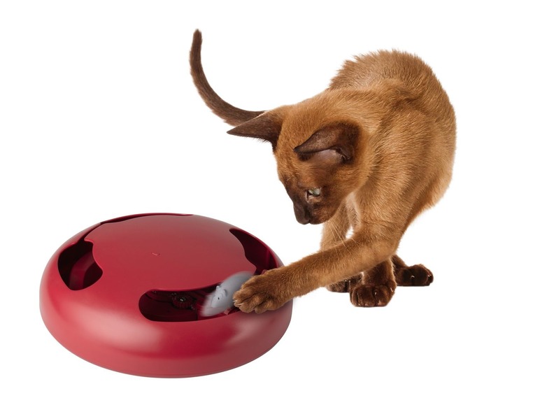 Gehe zu Vollbildansicht: ZOOFARI® Katzenspielzeug, elektrisch und interaktiv, Unterseite mit Gumminoppen - Bild 11