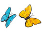 Zwei Schmetterlinge, einer blau und einer gelb, vor weißem Hintergrund.
