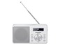 Ein silberfarbenes Grundig DAB-Radio mit Teleskopantenne.