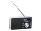 Ein silberfarbenes Grundig DAB Radio mit Teleskopantenne.