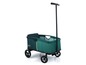 Ein grüner ECO-Light Transportwagen mit ausziehbarem Griff.