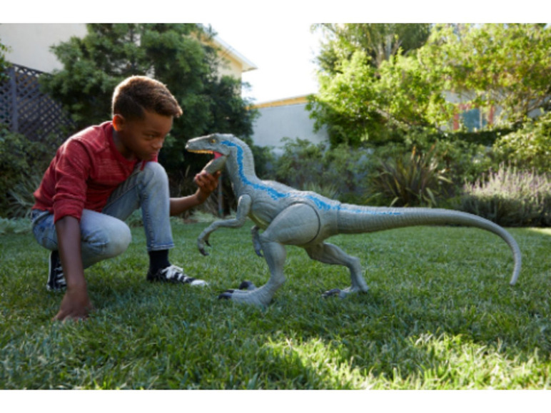 Gehe zu Vollbildansicht: Jurassic World Spielfigur Riesendino »Velociraptor Blue«, beweglich, ab 4 Jahren - Bild 8