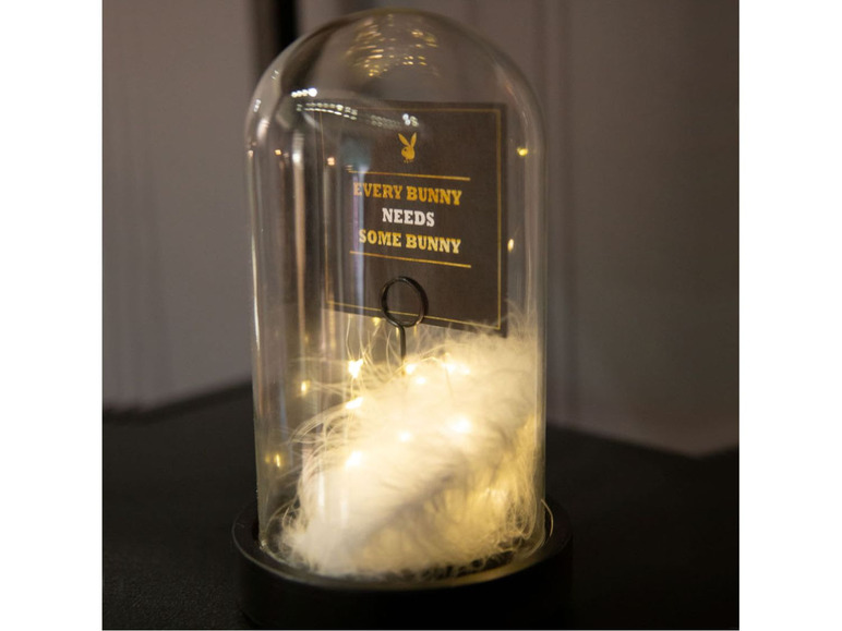 Eine Glasglocke mit Playboy-Logo und Lichterkette, mit dem Text 'Every bunny needs some bunny'.