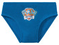 Blaue Unterhose mit Paw Patrol Logo.