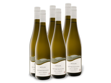 6 x 0,75-l-Flasche Weinpaket Müller Grüner Veltliner Löss & Schotter trocken, Weißwein