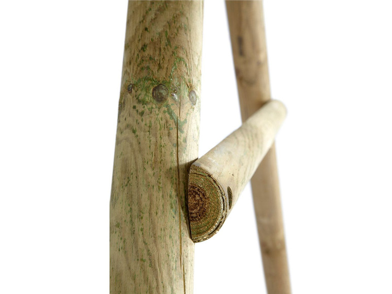 Gehe zu Vollbildansicht: Plum® Schaukel- und Kletterset »Uakari«, ab 3 Jahren, aus FSC® zertifiziertem Holz - Bild 6
