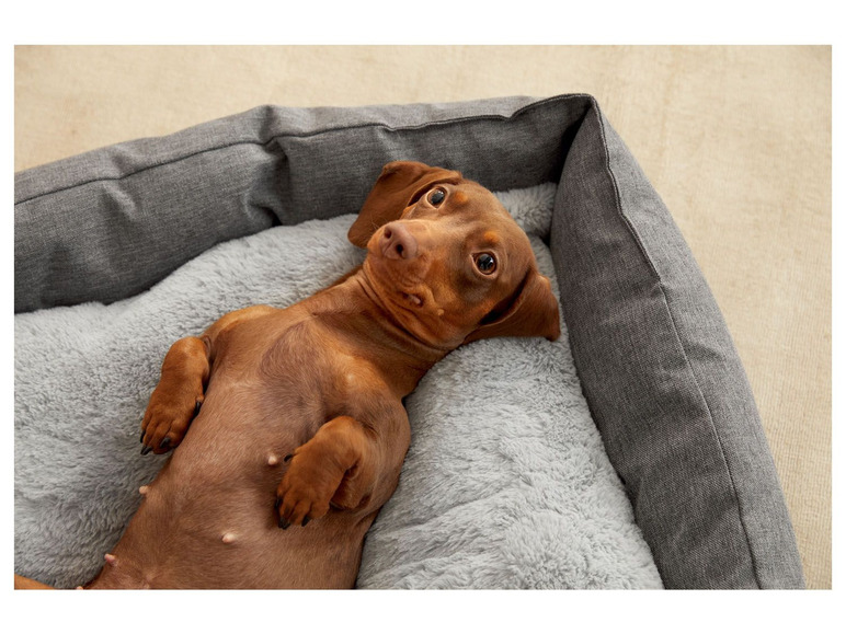 Gehe zu Vollbildansicht: ZOOFARI® Hundebett, mit Antirutschboden - Bild 6