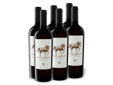 6 x 0,75-l-Flasche Weinpaket VIAJERO Cuvée Especial Valle de Colchagua Chile trocken, Rotwein