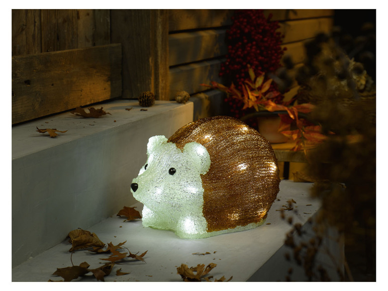 Gehe zu Vollbildansicht: Livarno Home Herbstfiguren LED, mit Timer - Bild 9