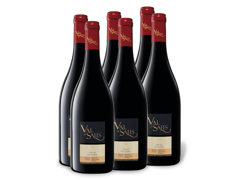 Gehe zu Vollbildansicht: 6 x 0,75-l-Flasche Weinpaket Val de Salis Syrah Viognier Reserve Pays d'Oc IGP trocken, Rotwein - Bild 1