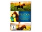 DVD-Box mit den drei Filmen der 'Flicka'-Reihe über ein Mädchen und ihr Pferd.