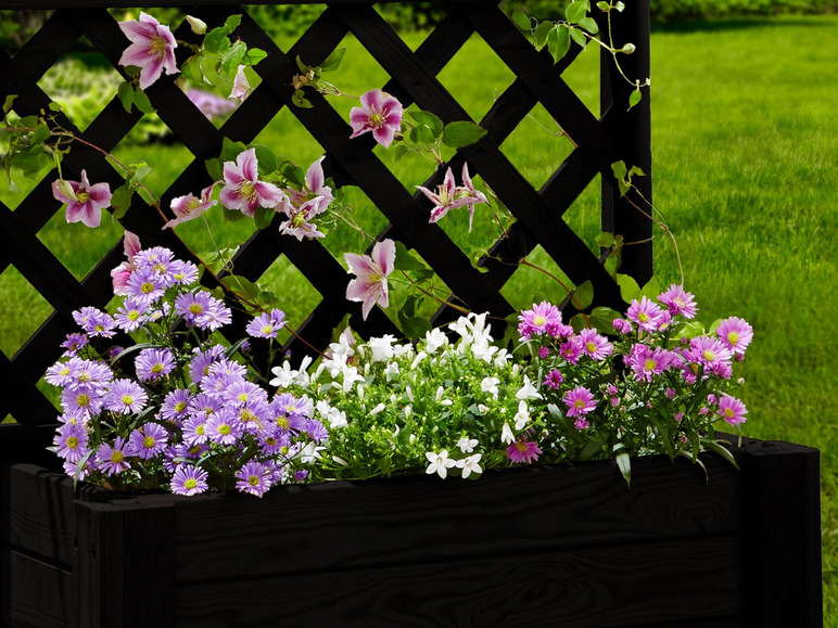 Ein schwarzer Blumenkasten mit verschiedenen Blumen, darunter Clematis und weiße Glockenblumen.