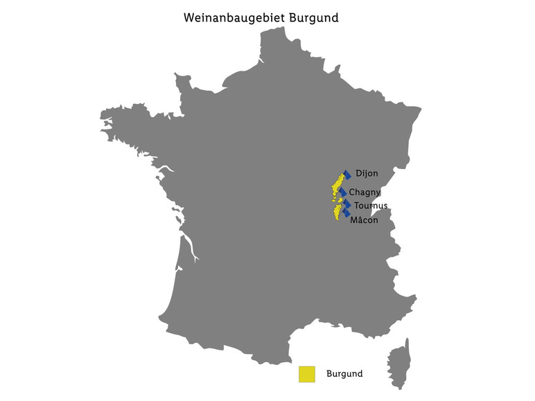Martenot de brut, Francois Crémant 2021 Schaumwein Bourgogne AOP