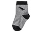 Graue Socke mit schwarzem Dinosaurier-Motiv.