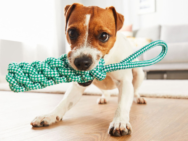 Gehe zu Vollbildansicht: zoofari® Hundespielzeug Tau, ideal für Apportier-, Zerr- und Kauspiele - Bild 3