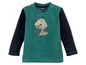 Grünes Langarmshirt mit Dinosaurier-Motiv für Jungen.