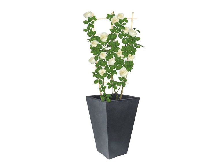 Gehe zu Vollbildansicht: PARKSIDE® Pflanztopf, eckig, aus Kunststoff, frost- und UV-beständig - Bild 3