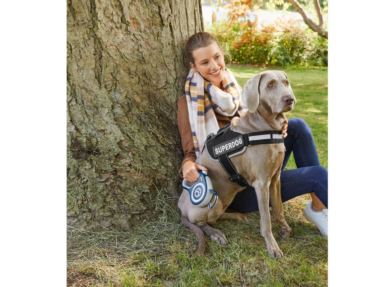Gehe zu Vollbildansicht: ZOOFARI® Hundegeschirr, mit weicher Fütterung, reflektierend - Bild 3