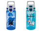 Zwei blaue Wasserflaschen mit Disney Frozen II Designs.