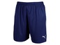 Blaue Sport-Shorts mit weißen Akzenten von Puma.