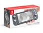 Verpackung für die Nintendo Switch Lite in Grau.