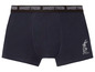 Dunkelblaue Boxershorts mit Looney Tunes-Print.