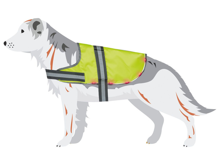 Gehe zu Vollbildansicht: ZOOFARI® LED Hundemantel, mit reflektierenden Elementen - Bild 11