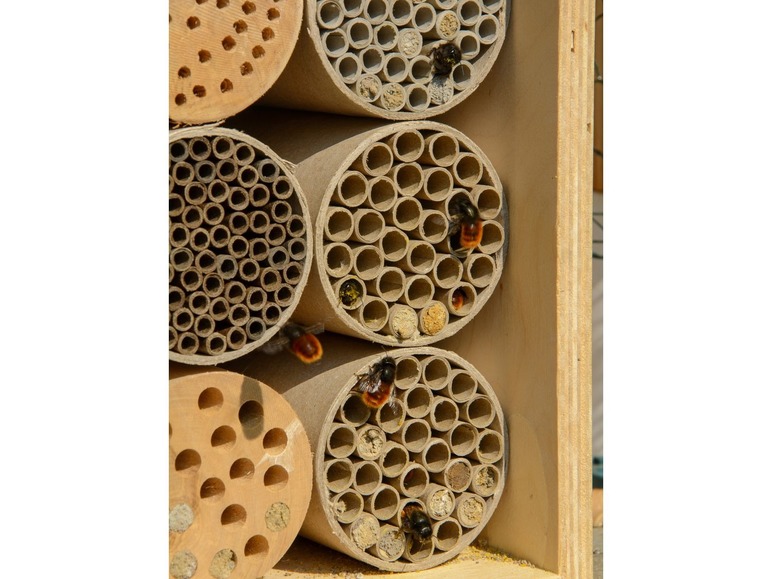 Gehe zu Vollbildansicht: dobar Insektenhotel, Wildbienen-Nisthilfe mit 6 Füllungen, stabile Konstruktion, mit Haken - Bild 2