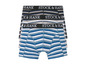 Drei Paar gestreifte Boxershorts von Stock & Hank.