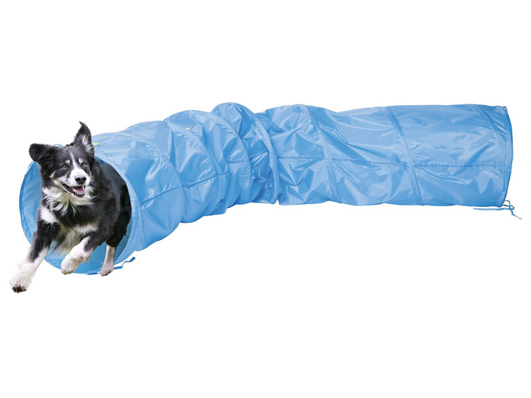 Gehe zu Vollbildansicht: ZOOFARI® Hundetrainings Set, mit Trainingsvideos, inklusive Transporttasche - Bild 3