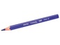 Ein blauer BIC Evolution Bleistift