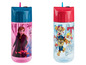 Zwei Trinkflaschen mit Strohhalmen, eine mit Frozen und eine mit Paw Patrol.