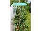 Tomatenpflanze im Garten mit schützendem Überzug