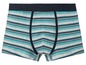 Gestreifte Boxershorts mit dunkelblauem Band.