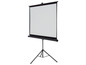 Ein weißer Projektionsbildschirm auf einem Stativ.
