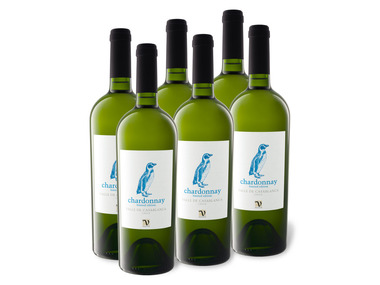 6 x 0,75-l-Flasche Weinpaket VIAJERO Chardonnay Gran Reserva Valle de Casablanca trocken, Weißwein