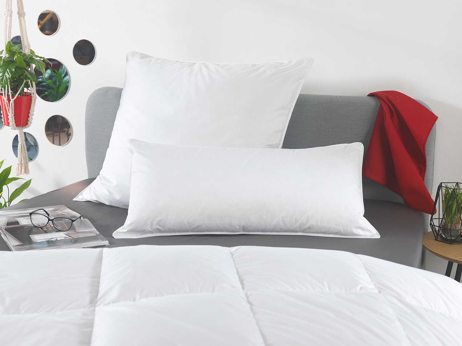 HÄUSSLING Premium Kopfkissen mit Federn & Daunen