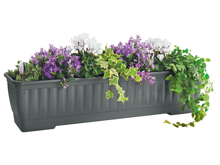 Gehe zu Vollbildansicht: PARKSIDE® Blumenkasten, 60 cm, mit Wasserstandanzeige - Bild 7