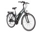 Ein graues Fischer E-Bike mit Gepäckträger.