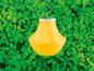 Gelbe Solar-Insektenlampe, die in einem Garten hängt.