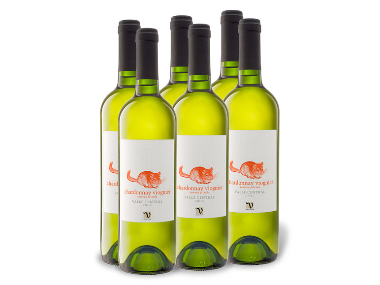 Gehe zu Vollbildansicht: 6 x 0,75-l-Flasche Weinpaket VIAJERO Chardonnay-Viognier Reserva Privada Valle Central trocken, Weißwein - Bild 1