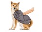 Ein Shiba Inu Hund trägt eine graue Hundejacke mit einem Pfotenabdruck.