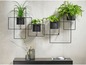 Schwarzes Wandregal mit vier Pflanzgefäßen, gefüllt mit verschiedenen grünen Pflanzen.