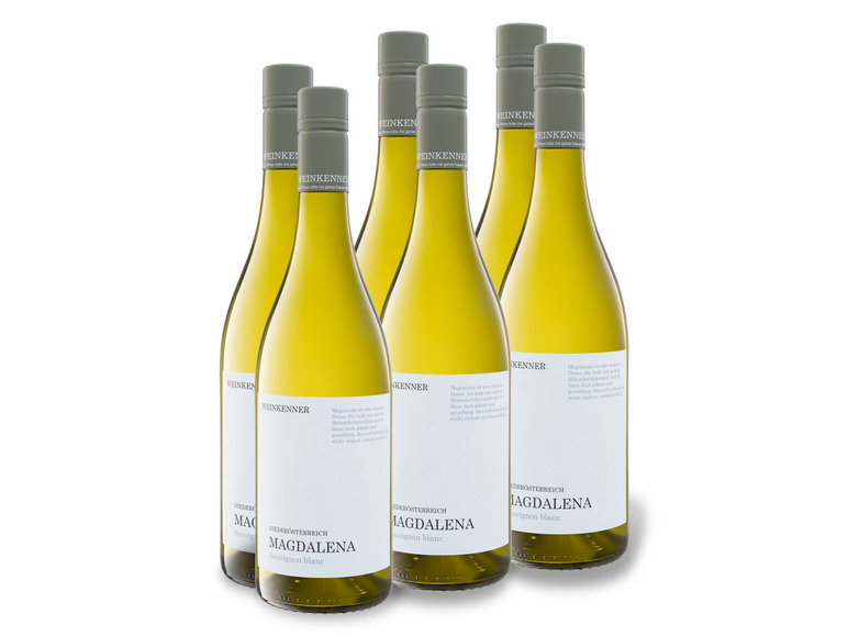 Sechs Flaschen Niederösterreich Magdalenen Sauvignon Blanc Wein.