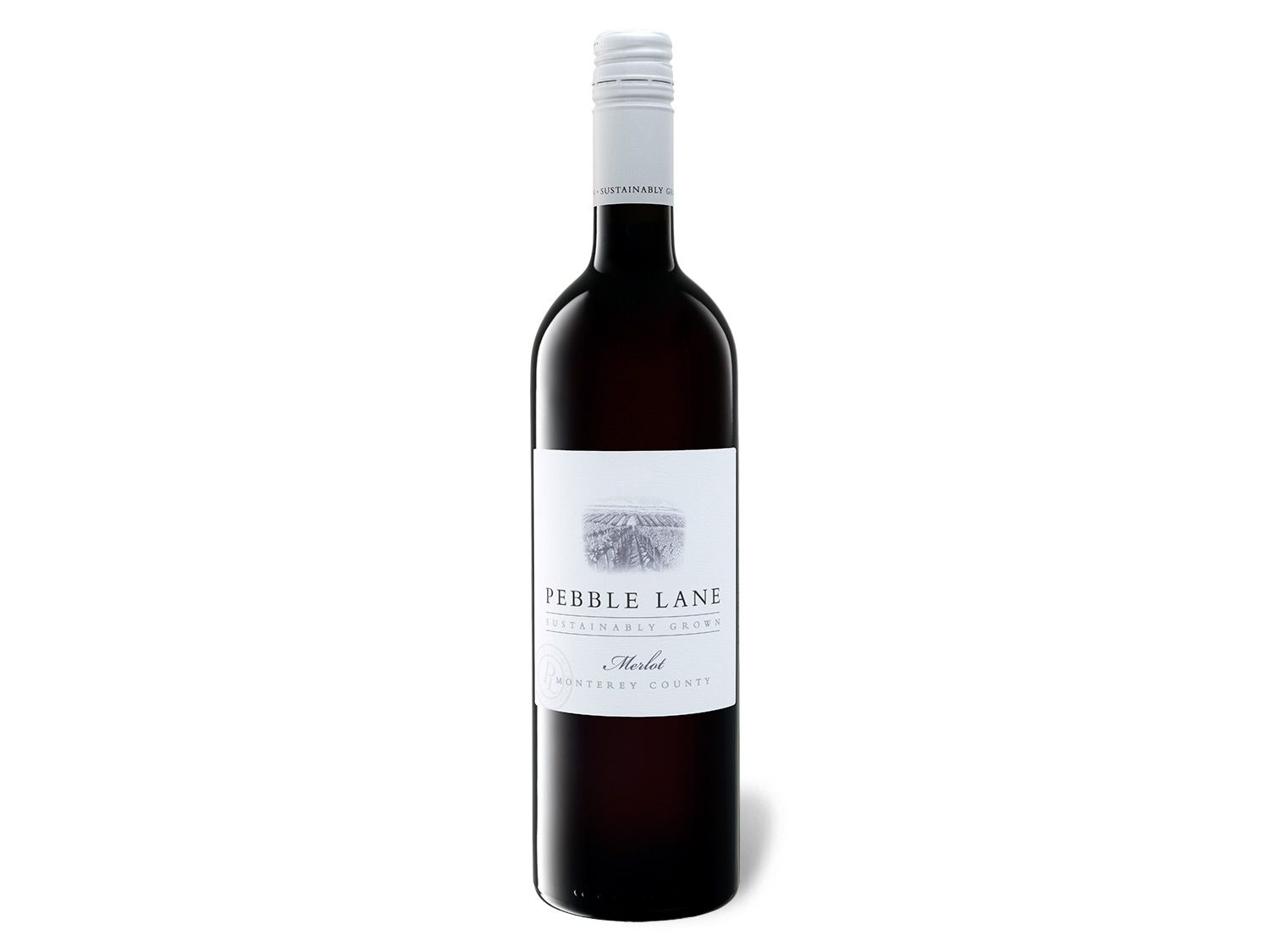 Pebble Lane Monterey County California Merlot trocken, Rotwein 2017 Wein & Spirituosen Lidl DE