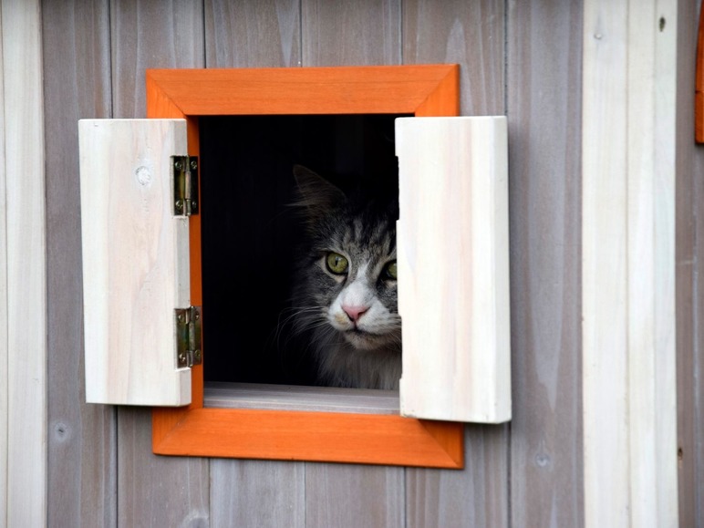 Gehe zu Vollbildansicht: dobar Großes Katzenhaus Fancy Cat, grau-rot-orange - Bild 4