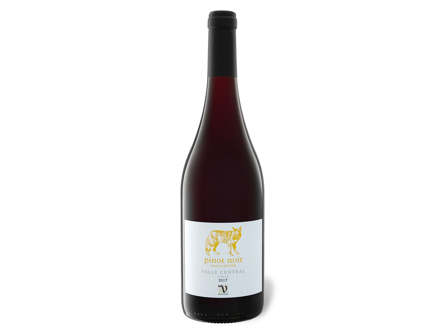VIAJERO Pinot Noir Reserva Privada Chile trocken, Rotwein 2020 Wein & Spirituosen Lidl DE